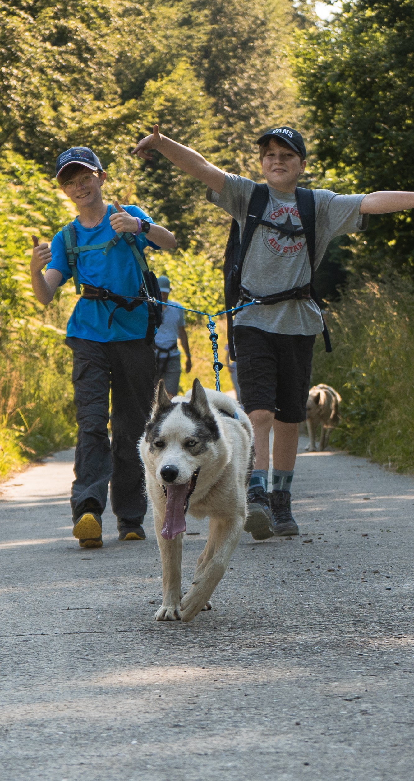 Des jeunes font une cani-rando à Forel-sur-Lucens chez Arco Mushing Team 