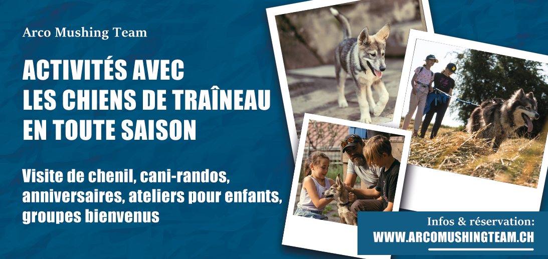 activités chiens de traîneaux en toute saison traîneau, cani-rando, ateliers et camps d'enfants et anniversaires, écoles pour Vaud et Valais ainsi qui Fribourg