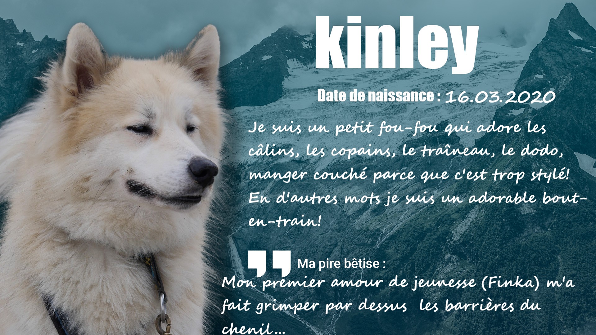 husky Kinley