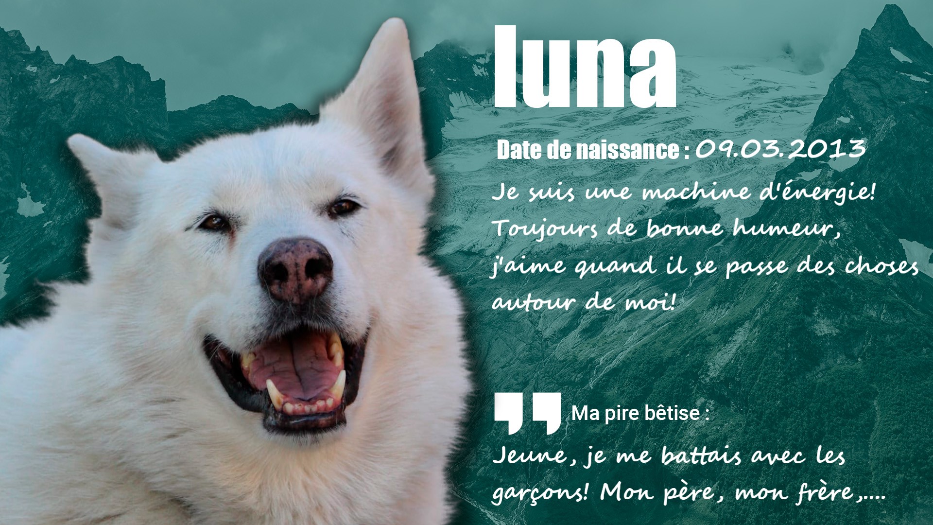 husky Luna